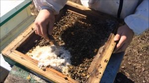 Нужна ли сетка в дне каркасного улья? Сравнение с глух?