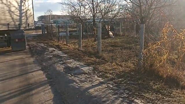 ТАКОЙ СТРАННЫЙ ЯНВАРЬ УБЬЕТ КЛУБНИЧНИКИ В ПОДМОСКОВЬ? смотреть онлайн