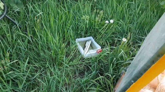 Первые шаги начинающего пчеловода 6 серия.