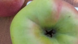 Яблуня Джумбо Помм