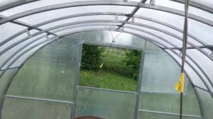 Парник кремлёвский