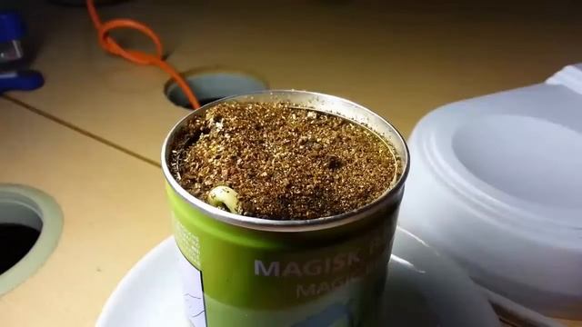 Китайские семена с гравировкой Обзор товара. Заказать смотреть онлайн