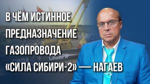 Злые экологи на Балтике не сработали. Какой ещё предлог ищут для маленькой войны с Россией — Нагаев