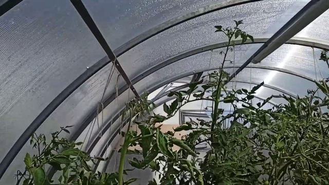 Автомат проветривания теплиц ОТКРЫВАШКА. смотреть онлайн