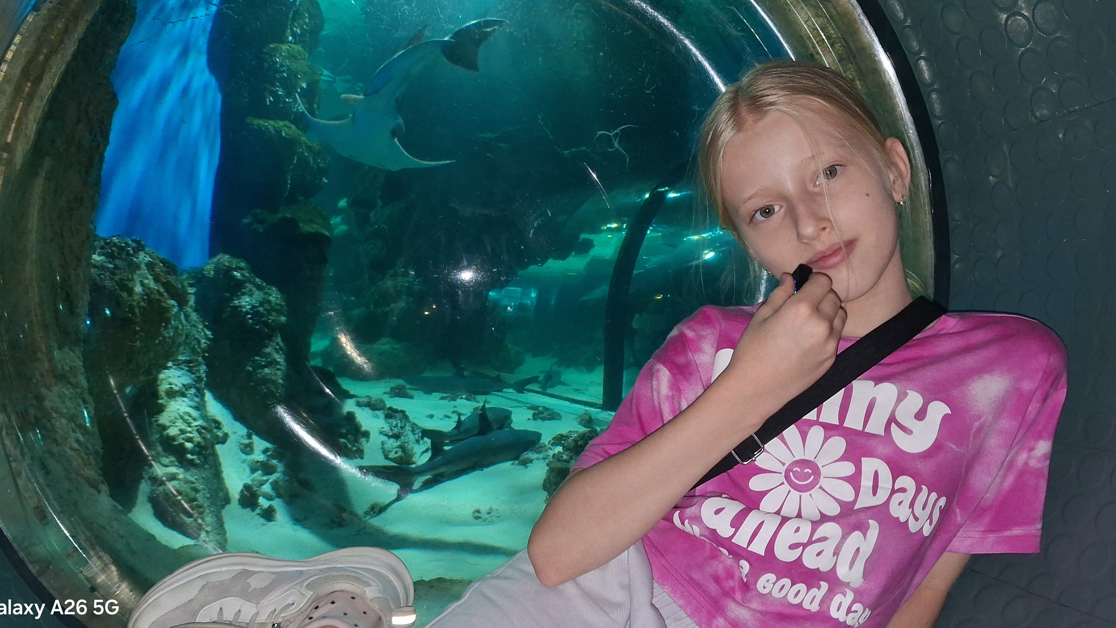 Мы в Москвариуме смотреть онлайн