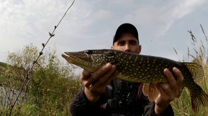 РЫБАЛКА НА ЩУКУ... Ловлю зубастую на реке Синара.