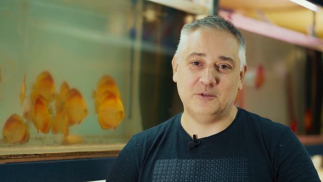 Дискусы Москва Сергей Шилов Питомник Дискус1 Развед смотреть онлайн
