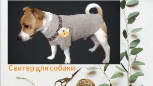 Свитер для собаки