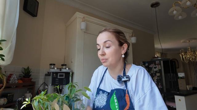 Мой первый VLOG. Бумажная лоза, детская пицца, растения и смотреть онлайн