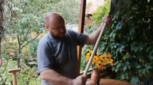 Чем покрыть черенок для защиты