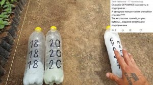 Сульфат Магния + Азотные удобрения ❗️БОМБА ДЛЯ РОСТА