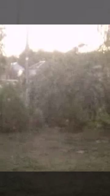 Люди - это травля синим, черным за 2 дня