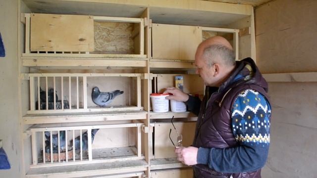 8 серия.Отравление голубей.Не качественное зерно.Как л смотреть онлайн