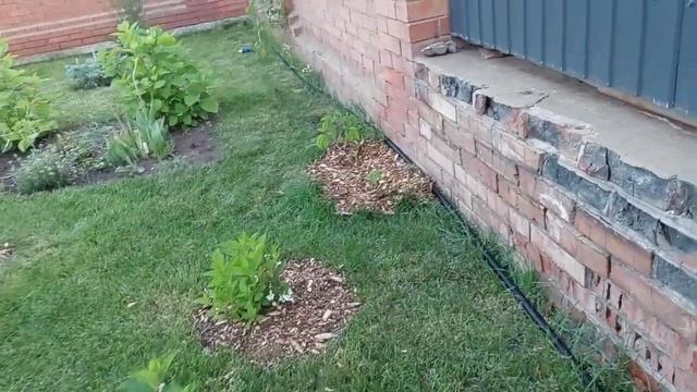 Наш сад 2025. Что сделано за два года. смотреть онлайн