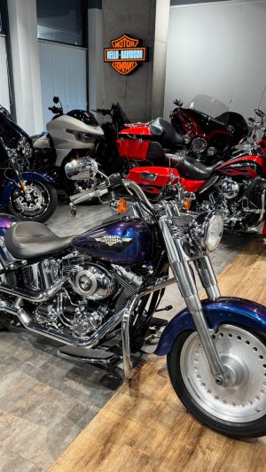 2010 Fat Boy Blue Pearl 29K