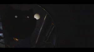 ПЕСНЯ про КОТО-ДРЁМА клип RASA - ПЧЕЛОВОД / ПАРОДИЯ на POPPY