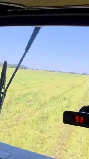 TG: nexpertGM ВАЛИМ!  #shorts #независимыйэксперт #георгиймедведев