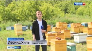 Почему почти весь алтайский мёд - не с Алтая? | Леонид Х?