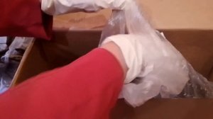 РАСПАКОВКА Корней! #ПИОНЫ от Пулков Сада!