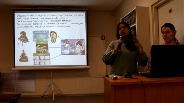 In Vitro: от клетки до целого организма