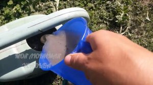 Кормлю огурцы древесной золой и уксусом. Даже слабые и
