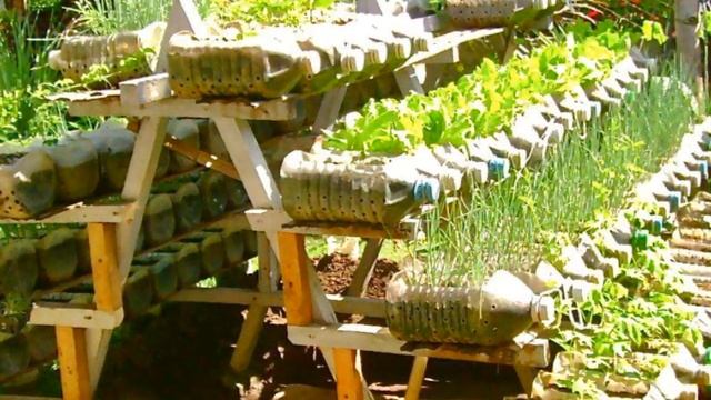 Дачные хитрости и премудрости ! 1