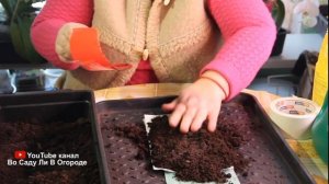 Самый КОМПАКТНЫЙ СПОСОБ выращивания РАССАДЫ!