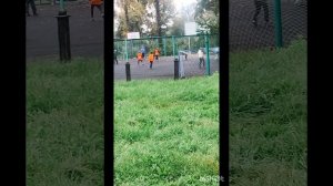 Моя быстрая ходьба по стадиону продолжается. Ура, я молодец, я тяну себя за волосы. 🤾♂️⚽⛹️♀️
