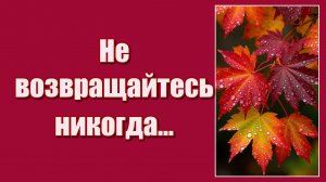 Не возвращайтесь никогда к тому, кто предал вас однажды...