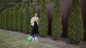 Чем подкормить хвойные весной? Мочевина, калий, фосфор