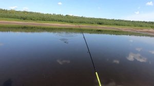 Рыбалка, в погоне за хищником..