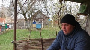 Куда ставить ловушки для пчёл? Роеловство начинается.