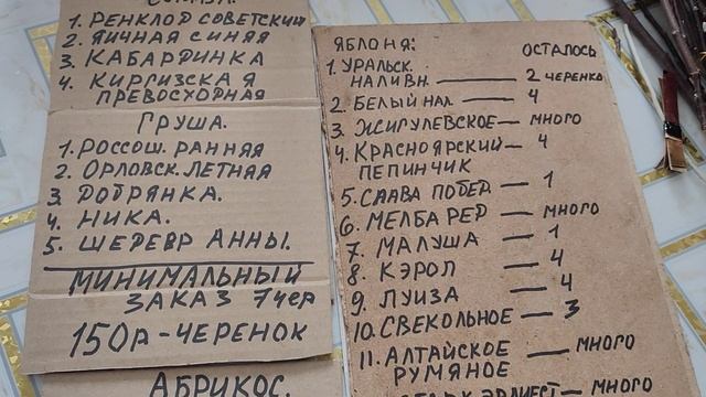 Черенки яблони, груши, сливы, абрикоса из сибирского с смотреть онлайн