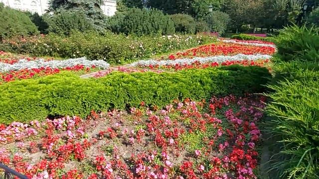 Александровский сад. Москва. Август 2024. смотреть онлайн