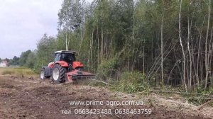 Лесной мульчер измельчитель Remet версия F5