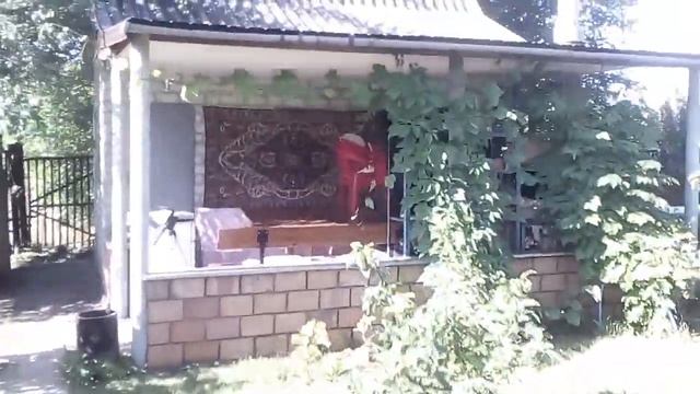 Абрикосовый дистиллят на диких дрожжах.(Абрикосин) ча?