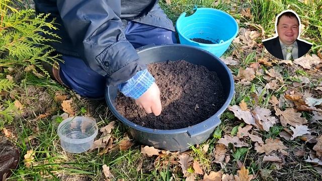 Как вырастить можжевельник из семян #можжевельник из смотреть онлайн