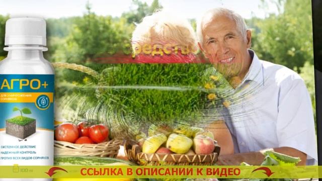 ⚪ ЛУЧШИЕ ГЕРБИЦИДЫ ОТ СОРНЯКОВ СПЛОШНОГО ДЕЙСТВИЯ 🚫