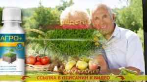 ⚪ ЛУЧШИЕ ГЕРБИЦИДЫ ОТ СОРНЯКОВ СПЛОШНОГО ДЕЙСТВИЯ 🚫