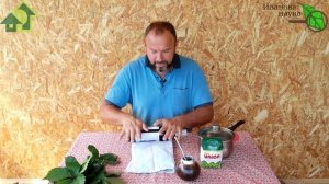 ФЕРМЕНТАЦИЯ ЛИСТЬЕВ МАЛИНЫ и ЕЖИВИКИ. Белорусский МАТ