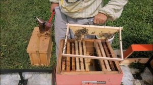 Куда ставить строительные рамки. Пчеловодство без вощ