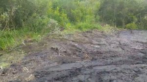 Дачный блог. Наконецто приехал экскаватор.