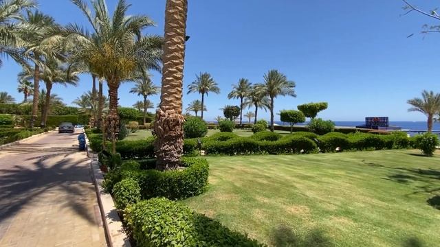 GRAND OASIS SHARM EL SHEIKH | Обзор отеля и рифа | Бюджетный отель в смотреть онлайн