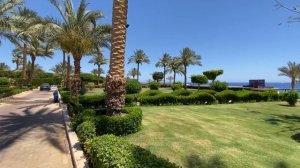 GRAND OASIS SHARM EL SHEIKH | Обзор отеля и рифа | Бюджетный отель в