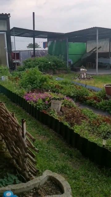 1 ноября 2024 г.