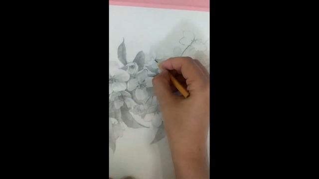 Рисуем простым карандашом цветущую яблоню