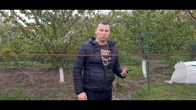 Полив винограда весной смотреть онлайн