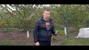 Полив винограда весной