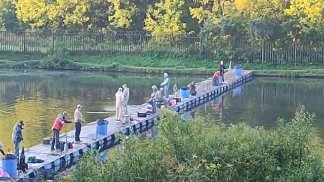 Утро смотреть онлайн