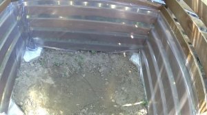 Компост. Компостный ящик своими руками